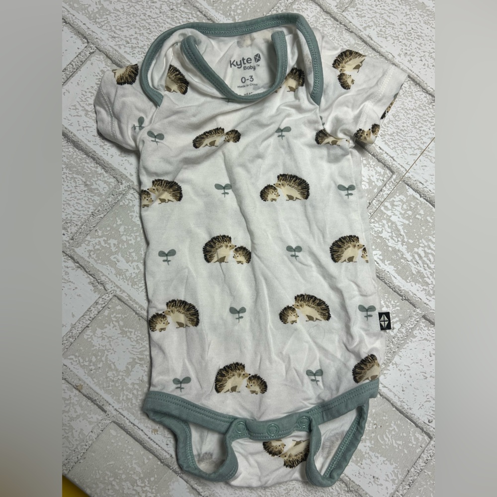 Kyte BABY Hedgehog Print Onesie with Teal Trim